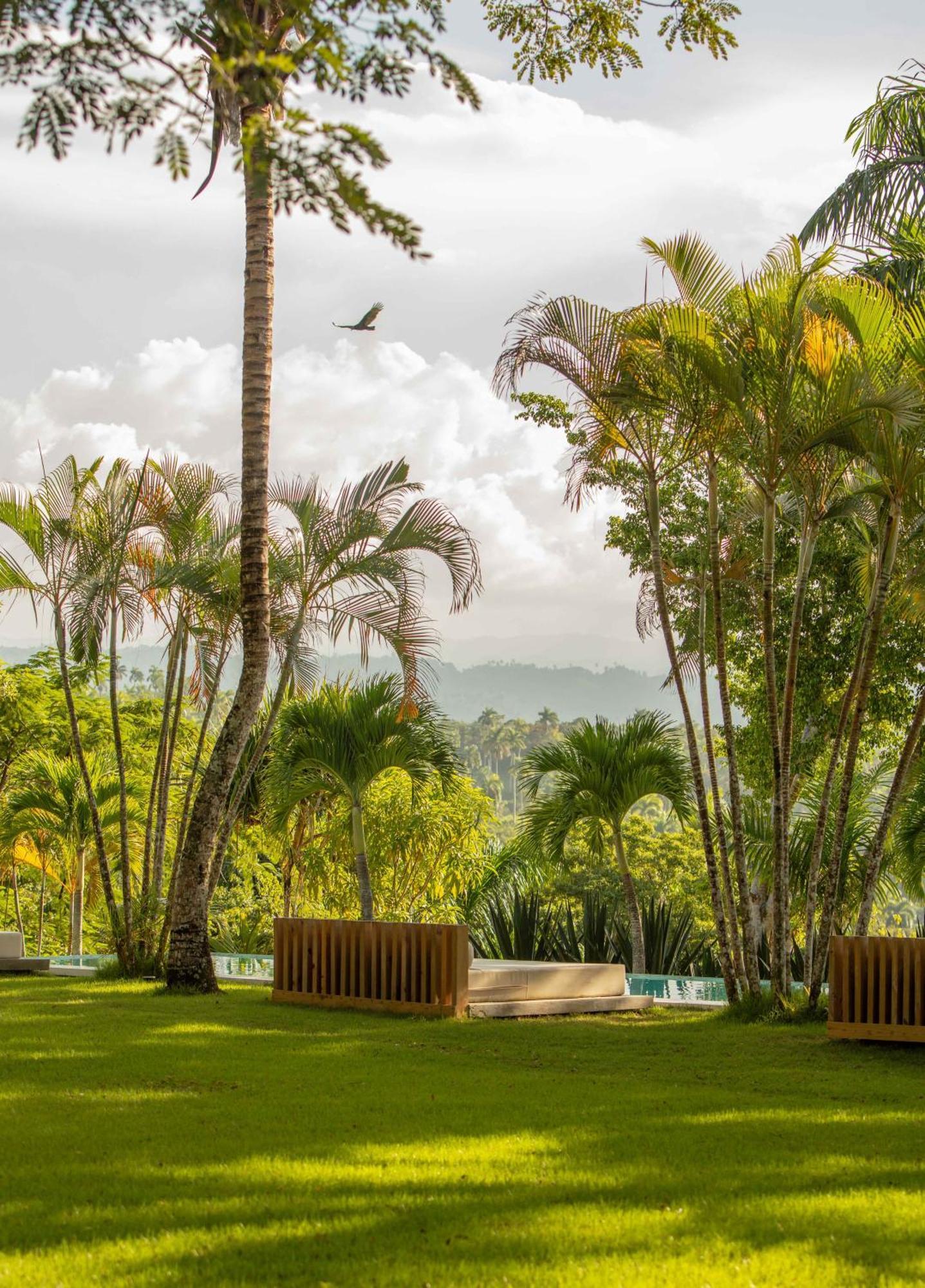 Oya - Wellness Eco Resort & Retreat Jamao al Norte Exterior photo